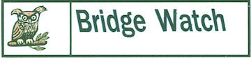 bridge watch logo