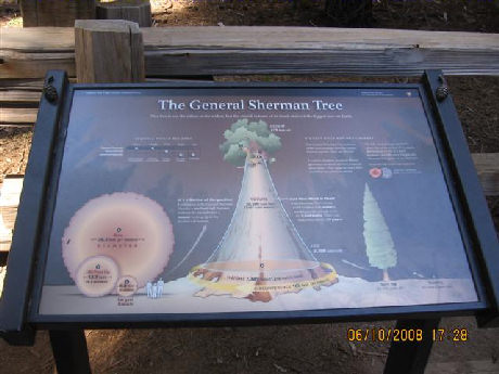 General Sherman Tree Sign, photos by the Keatings
