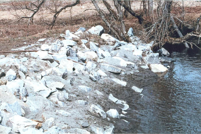 Martin Bridge. Photo by Ann Ovitt
April 17, 2009