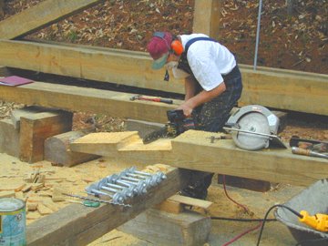 The first of the two
trusses complete and standing. Photo by Joe Nelson, April 19, 2002