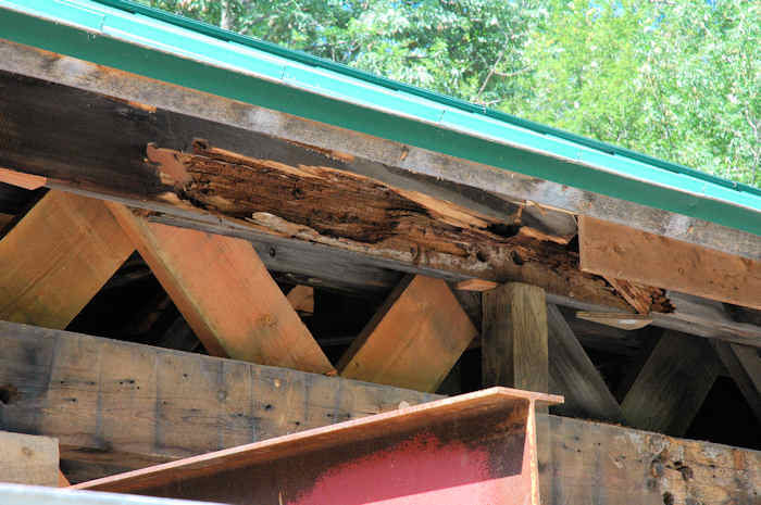 Hutchin's Bridge. Photo by Joe Nelson
July 5, 2009