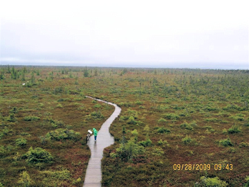 Kouchibougac Bog Trail. Photo by the Keatings
September 27 2009