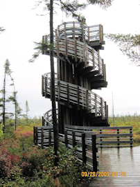 Kouchibougac Bog Trail. Photo by the Keatings
September 27 2009