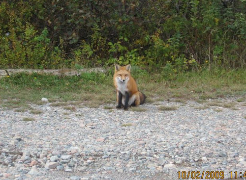 Irving Nature Park. Photo by the Keatings
October 2, 2009