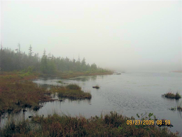 Carabou Bog, Fundy NP. Photo by the Keatings
September 23, 2009