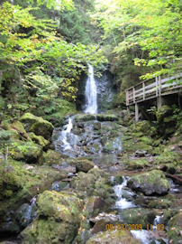 Dickson Falls. Photo by the Keatings
September 23, 2009